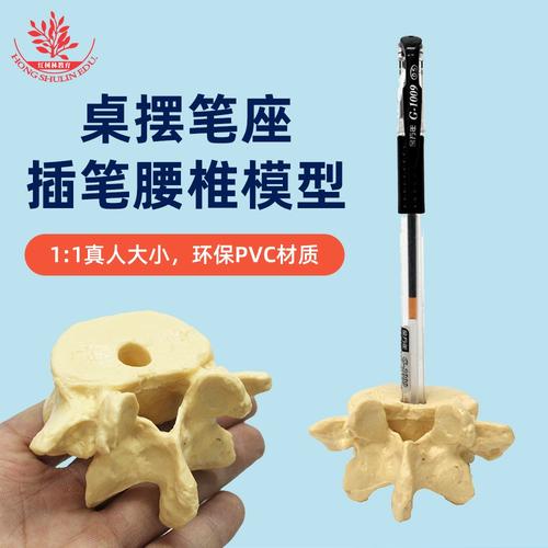 腰椎模型筆座 醫(yī)學(xué)與時尚的跨界融合